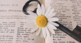 mowienie po angielsku