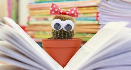 wyzsze wyksztalcenie